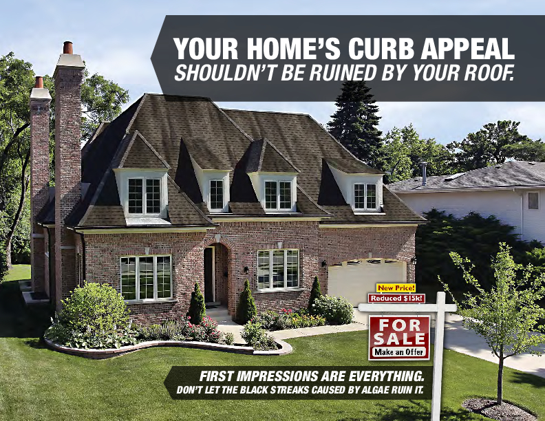 Curb Appeal Flyer - Scotchgard Designer Shingles